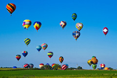 Picture of hot air balloons