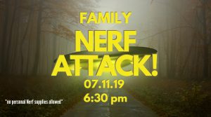 Family Nerf Attack