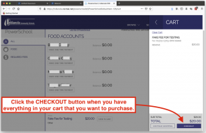 Image of RevTrak Checkout Page